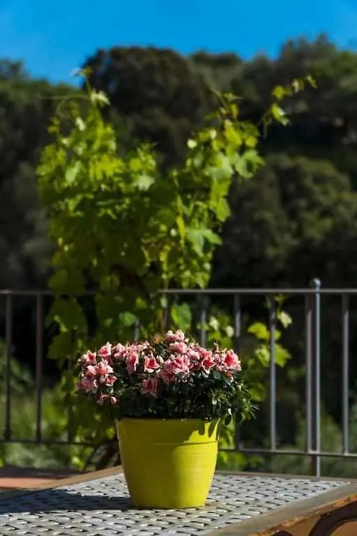 Campagna De Mercedes Alghero Italia